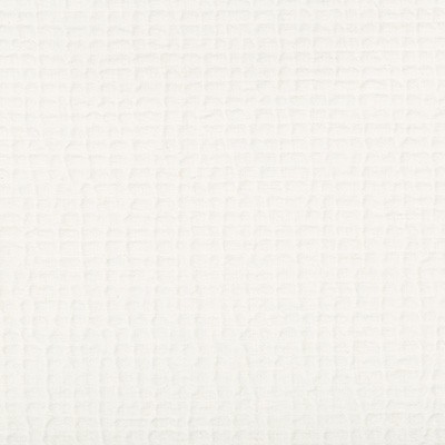 Kravet CACHUMA IVORY