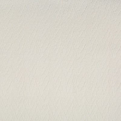 Kravet BOLSTER IVORY