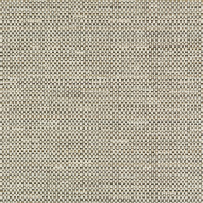 Kravet 34999 11