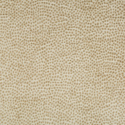 Kravet 35012 4