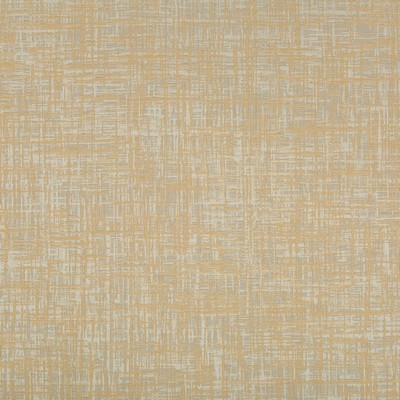 Kravet DEJO BUTTERSCOTCH