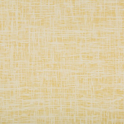 Kravet DEJO LIMONATA