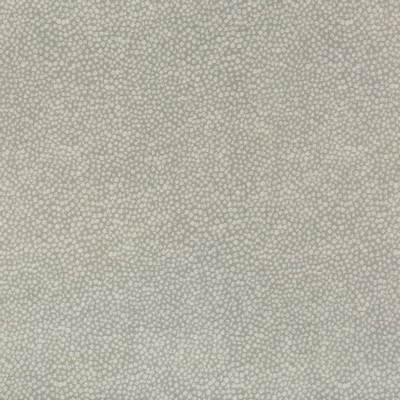 Kravet PEBBLEDOT STONE