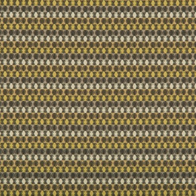 Kravet ROLE MODEL LOTUS