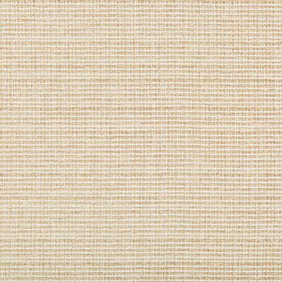 Kravet SADDLEBROOK SAND