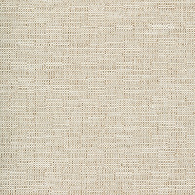Kravet 35518 106