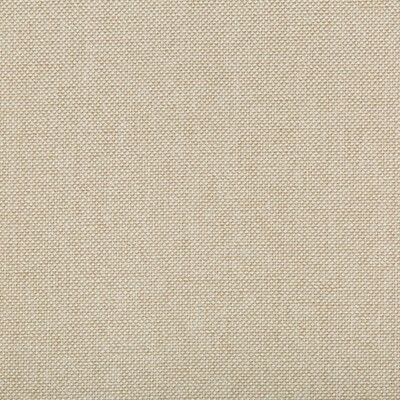 WILLIAMS COCONUT Kravet WILLIAMS COCONUT