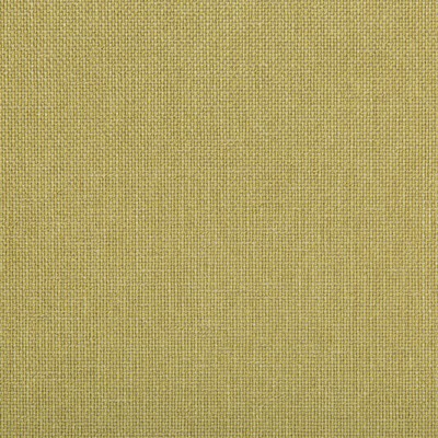 Kravet WILLIAMS LEMONGRASS