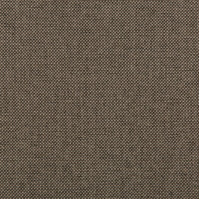 Kravet WILLIAMS PEWTER