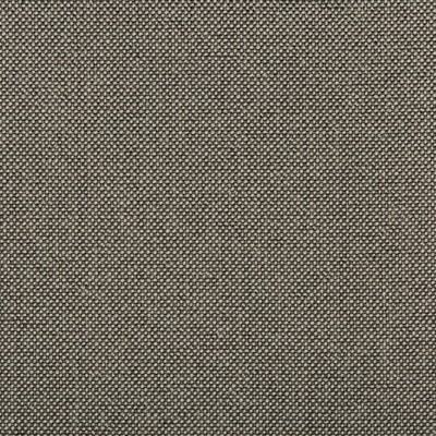 Kravet WILLIAMS NICKEL