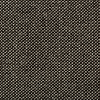Kravet WILLIAMS OBSIDIAN