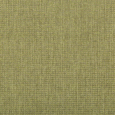 Kravet BURR MEADOW