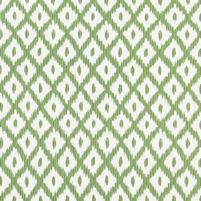 Kravet PITIGALA GREEN