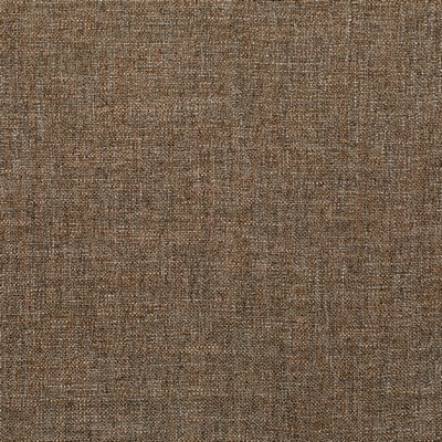 Kravet PASARO VICUNA