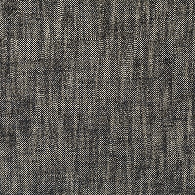 Kravet PASARO EBONY