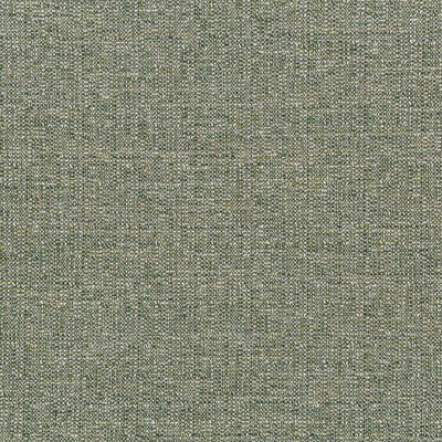 Kravet 35970 3