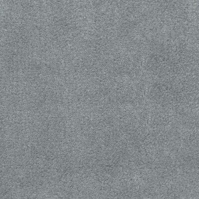 Kravet PLUSHILLA GREY