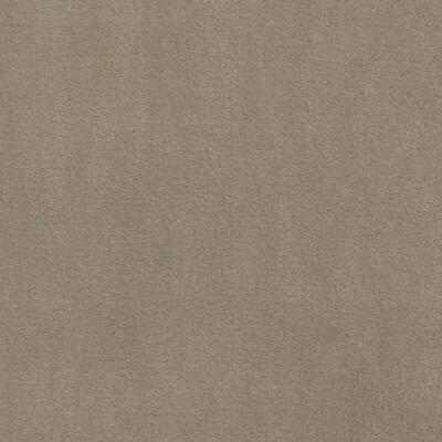 Kravet PLUSHILLA BEIGE
