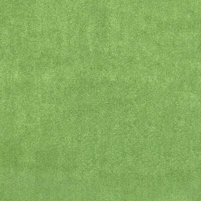 Kravet PLUSHILLA EMERALD