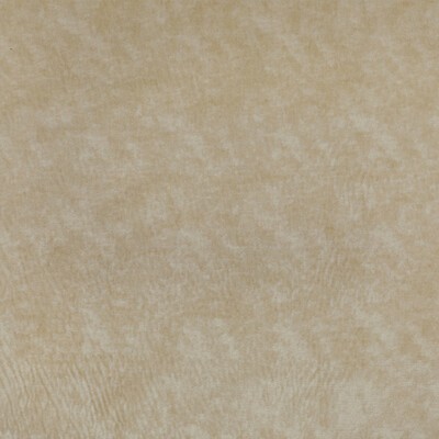 Kravet TRIUMPHANT CREME
