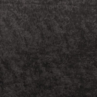 Kravet TRIUMPHANT GRAPHITE