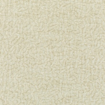 Kravet BARTON CHENILLE LATTE