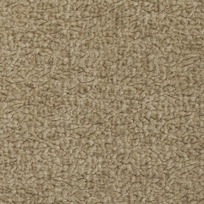 Kravet BARTON CHENILLE OAT