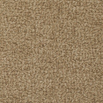 Kravet BARTON CHENILLE CHAMPAGNE