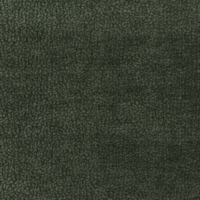 Kravet BARTON CHENILLE 303