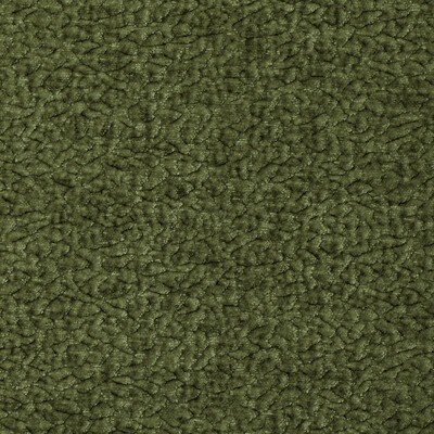Kravet BARTON CHENILLE CACTUS