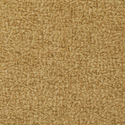 Kravet BARTON CHENILLE HONEY