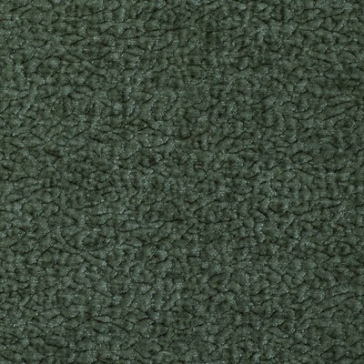 Kravet BARTON CHENILLE JUNGLE
