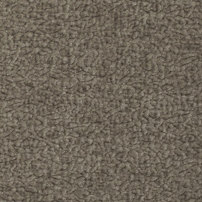 Kravet BARTON CHENILLE MOUSE