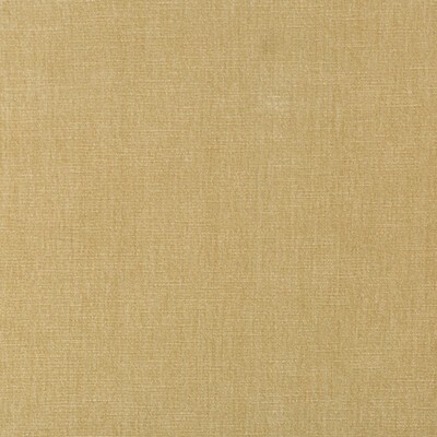 Kravet 36076 161