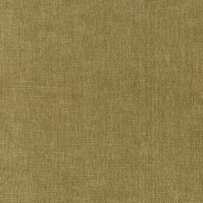 Kravet 36076 616