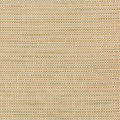 Kravet 36082 106