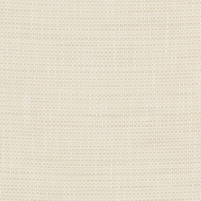 Kravet 36082 1116