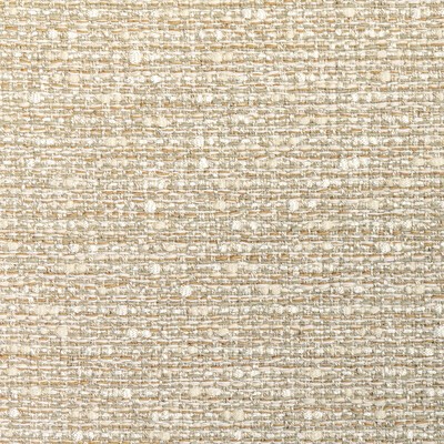 Kravet NATURALIST WHITE SAND