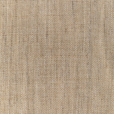 Kravet 36112 166