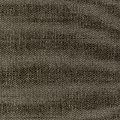 Kravet 36112 311