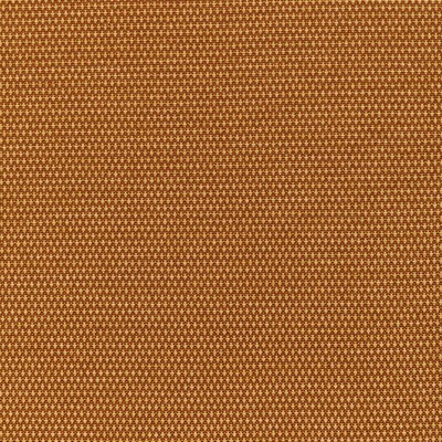 Kravet MOBILIZE GINGER