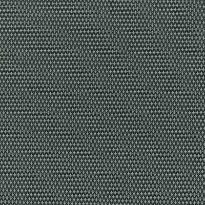 Kravet MOBILIZE GRANITE