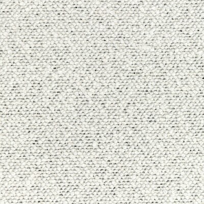 Kravet COSMIC PLUSH IVORY NOIR
