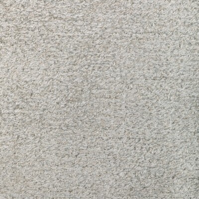 Kravet BASIC INSTINCT STONE