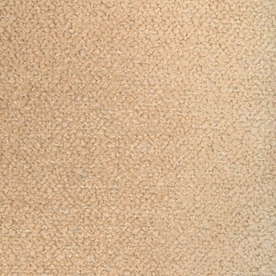Kravet 36348 16