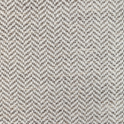 Kravet VERVE WEAVE DOVE
