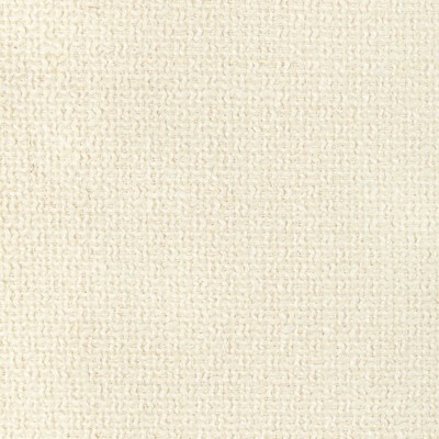 Kravet ABLOOM IVORY