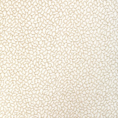 Kravet 36421 161
