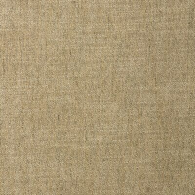 Kravet 36537 316