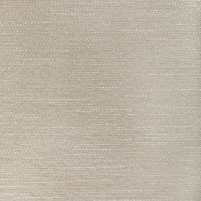 Kravet RECOUP SAND DOLLAR